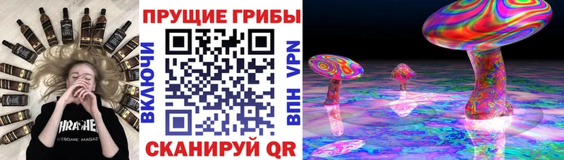 Псилоцибиновые грибы Psilocybine cubensis Славгород